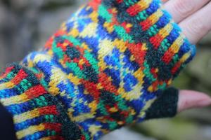Parrots of the Rainforest Mitts pattern