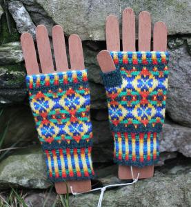 Parrots of the Rainforest Mitts pattern