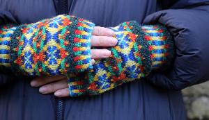 Parrots of the Rainforest Mitts kit
